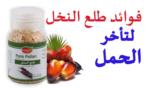 فوائد طلع النخل للعقم