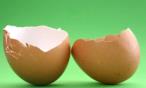 فوائد قشر البيض