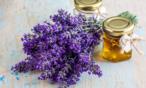 فوائد زيت اللافندر للشعر