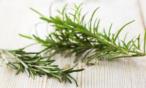 الروزماري.. عشبة تضعينها في طعامك وتحمي عقلك !