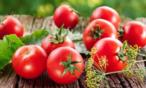دراسة تنصح بتناول الطماطم يومياً.. تحارب سرطان الجلد والمعدة