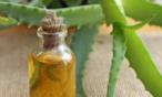 فوائد زيت بذور الصبار