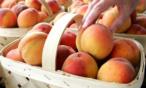 4 أسباب لتناول الخوخ !