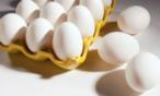 لا مزيد من البيض الفاسد مع هذه النصائح !