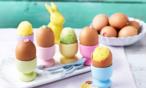 بدائل غير مألوفة لبياض البيض !