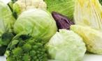 الخضروات الورقية تحميكِ من السرطان.. تعرفي على ثلاثة أنواع  منها !