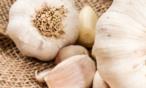 فوائد الثوم على الريق للكبد