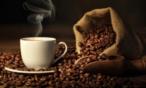 هل تنقرض القهوة بالفعل؟ تعرّفي على إجابة هذا السؤال الآن !