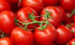 هل الطماطم خضار أم فاكهة؟