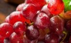 فوائد وأضرار العنب الأحمر