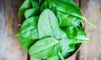 معجزات أوراق السبانخ التي لن تتخيليها.. أجعليها ضمن وجباتك !