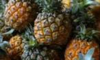 اضرار الأناناس