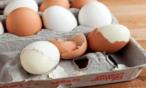 ما هي فوائد وأضرار أكل قشر البيض
