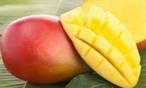 فوائد المانجو