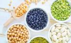 إليكِ أهم البروتينات النباتية، لميزانية أقل وصحة أفضل