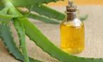ما هي فوائد زيت الصبار للشعر