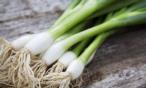 فوائد البصل الأخضر للحامل