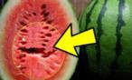 مفاجأة.. لا تتناولي البطيخ إن كان بهذا الشكل !!!