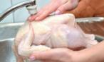 كل ما تودين معرفته عن تنظيف الدجاج،اللحوم والأسماك
