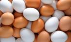 أساطير البيض: سبع خرافات شائعة تم كسرها أخيراً
