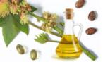 أفضل 5 استعمالات لزيت الخروع في الجمال