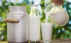 هل منتجات الحليب ضارة للمصابين بنزلات البرد؟