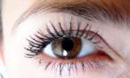 بدون جراحة ولا مكياج، احصلي على رموش كثيفة بهذه الخطوات!