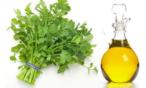 فوائد زيت الكزبرة