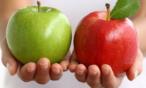تفاحة واحدة يومياً تقي من الإصابة بالسرطان والزهايمر.. مؤكد