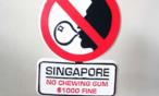 سنغافورة تمنع استيراد أو شراء العلكة فيها، والسبب غريب