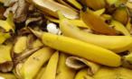 فوائد قشر الموز للتخسيس