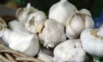 لن تتوقعي هذه الاستعمالات الغريبة للثوم !