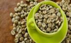فوائد البن الأخضر وأضراره