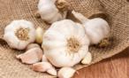هل يجوز وضع الثوم في الثلاجة؟