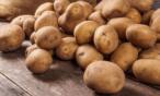 هذا ما يحدث للبطاطس عند حفظها في الثلاجة !