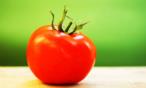 السعرات الحرارية في الطماطم
